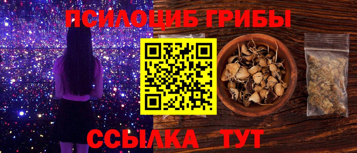 Рузаевка  Галлюциногенные грибы Cubensis  Вход с VPN 