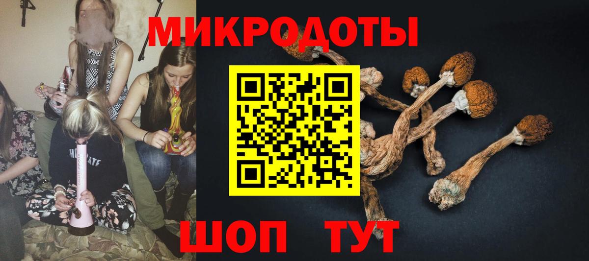 Псилоцибиновые грибы мицелий Рузаевка
